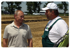 Prime Minister Vladimir Putin in a wheat field of the Agrocomplex Company