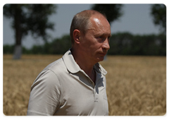 Премьер-министр В.Путин осмотрел пшеничное поле ЗАО «Фирма»Агрокомплекс»