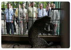 Vladimir Putin, Jean-Claude Killy and Gilbert Felli let two leopards delivered by air from Turkmenistan out of a cage and into an open-air enclosure