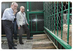 В.В.Путин, Жан-Клод Килли и Жильбер Фелли выпустили из клеток в вольеры двух леопардов, доставленных на самолете из Туркмении