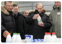 В.В.Путин посетил племенной завод «Гражданский» в поселке Запорожское Ленинградской области