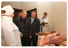 Prime Minister Vladimir Putin visiting the agricultural holding company Eurodon