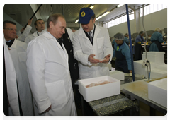 Prime Minister Vladimir Putin visits one of northwestern Russia’s largest fish processing plants during a working trip to the Murmansk Region