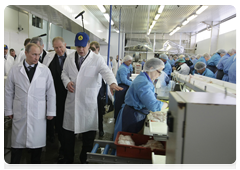 Председатель Правительства Российской Федерации В.В.Путин посетил одно из крупнейших рыбоперерабатывающих предприятий северо-запада России