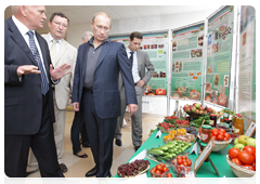 Prime Minister Vladimir Putin visiting a community centre in the village of Tulinovka, Tambov Region