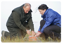 Prime Minister Vladimir Putin familiarising himself with the work of the Russian and German expedition Lena 2010