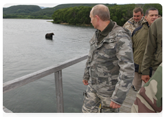 Председатель Правительства Российской Федерации В.В.Путин посетил Южно-Камчатский федеральный заказник