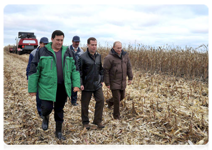 President Dmitry Medvedev and Prime Minister Vladimir Putin in the fields to see this year’s corn crops