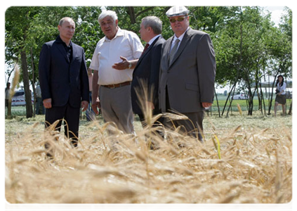 Prime Minister Vladimir Putin visiting an agricultural cooperative during his working trip to the Rostov Region
