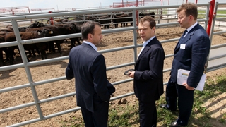 Председатель Правительства Российской Федерации Д.А.Медведев посетил ферму крупного рогатого скота Котляково