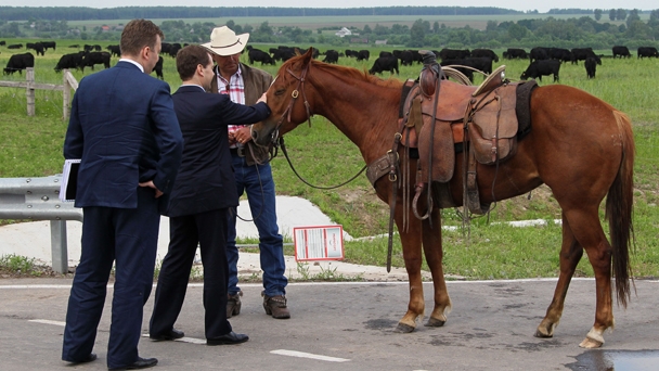 Following a meeting on the future of livestock farming, Prime Minister Dmitry Medvedev spoke with US cowboys employed at Kotlyakovo Farm
